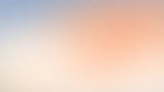 Betitall Cazino Cazinou Suport